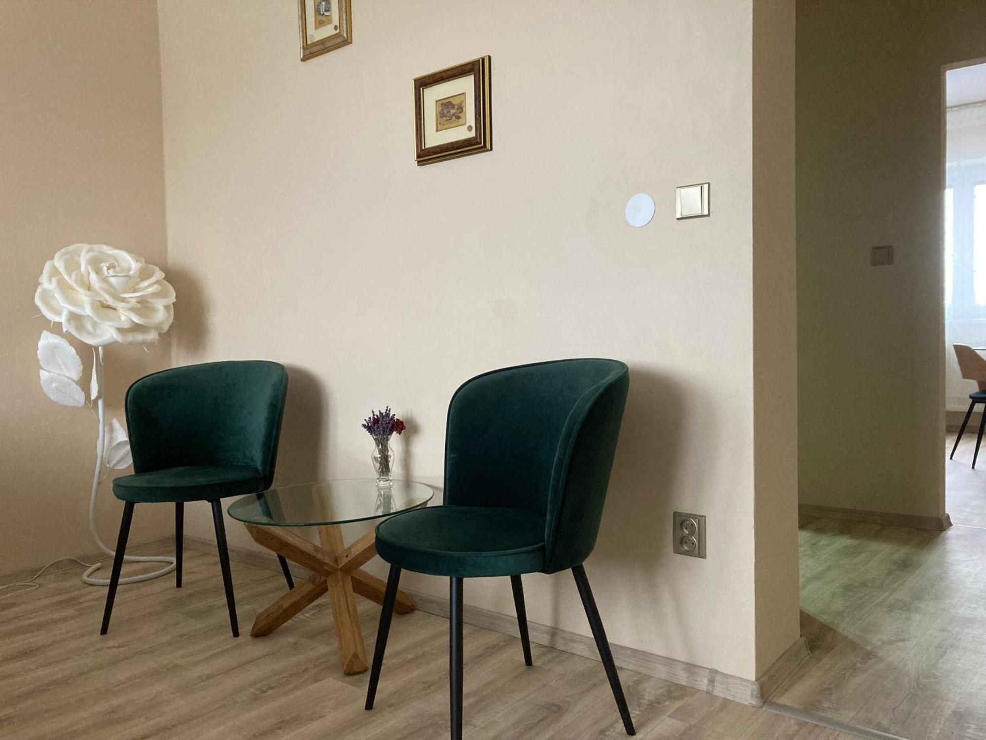 Apartment In The Garden Drzovice Экстерьер фото